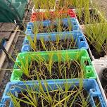 Propagation Workshop-Balclutha AFTERNOON session