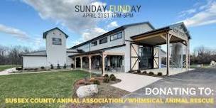 Sunday FUNDay: Sussex County Animal Association/Whimsical Animal Rescue