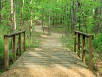 Hike at Enterprise South Nature Park in Chattanooga, TN