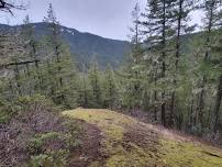 Salmon River Canyon Overlook