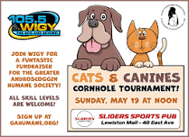 Cats, Canines & Cornhole Tournament @ Sliders Sports Pub