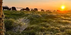 Business Continuity in Emergencies for Farmers and Growers - Dargaville