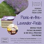 Picnic-in-the-Lavender-Fields