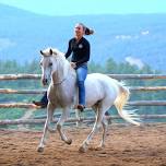 Cantering: Circles, Leads, & Lead Changes