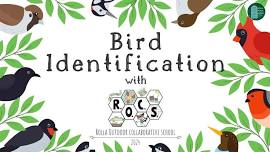 Bird Identification with Rolla Outdoor Collaborate School