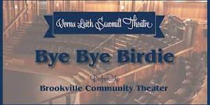 Bye Bye Birdie