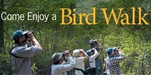 WBU Joliet April Bird Walk