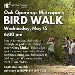 Bird Walk with Greg Links