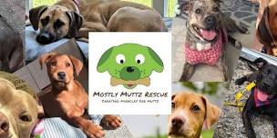 Meet the Muttz at the Ultimate Doggie Destination