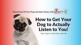 How to Get Your Dog to Actually Listen to You!