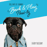 Bark & Play Paw-ty Tuesdays  — Love Your Pet