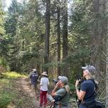 Birds and Rivers: Teanaway Community Forest