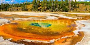 Yellowstone National Park: Self-Driving Audio Guided Tour