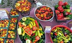 Jasper Farmers’ Market