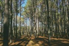 Hike at Chapman Mountain Nature Preserve