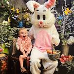 Easter Bunny Photos