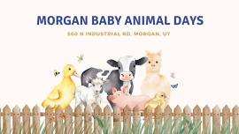 Morgan Baby Animal Days