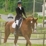 Schooling Dressage Show