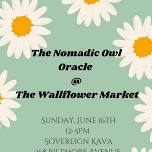 The Nomadic Owl Oracle @ Sovereign Kava