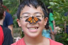 Breakfast with Butterflies