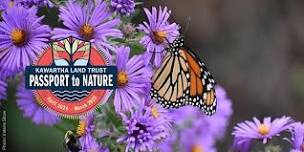 KLT's Passport to Nature: The Power of Pollinators