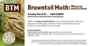 Browntail Moth: What you need to know