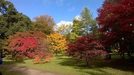 Coach trip to NT Winkworth Arboretum