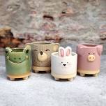 Pottery Workshop: Animal Planter