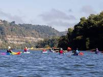 Turtle Cove Kayak Tour