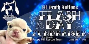 Flash Day Fundraiser