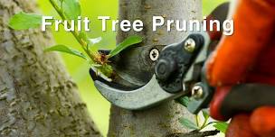 Fruit Tree Pruning Workshop