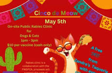 Cinco De Meow