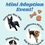 Mini Adoption Event with Paws Rescue League