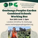 Combined Onehunga Schools Working Bee!