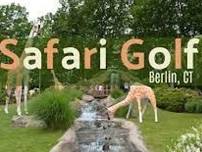 Safari Golf Mini Golf