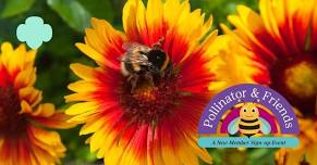 Gray | Pollinator & Friends: A Girl Scouts Information & Sign-up Event