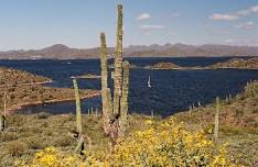 Maricopa County Parks and Recreation: Lake Pleasant - Monday Clean-Up Crew