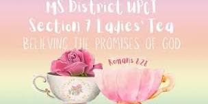 MS  District Section 7 Ladies Tea