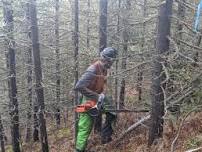 Sheep Mtn Clearing