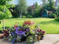 The National Garden Scheme: The Shrubbery Barnham and The Old Rectory Barnham: Open Gardens