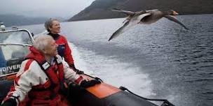 Our Life with Birds - Lloyd & Rose Buck