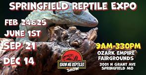 Springfield MO Reptile Expo