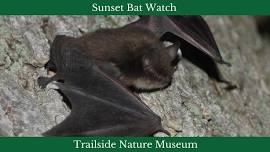 Sunset Bat Watch