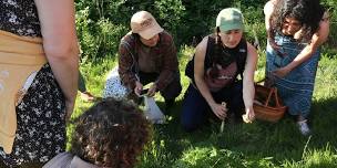 Edible and Medicinal Plant Walk: Roslyn Community Forest (Morning session)