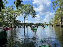 Guided Canoe Tour