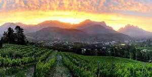 Private Wine Tasting Tour of Franschhoek from Cape Town