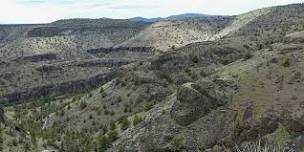 Chimney Rock Wildflower Guided Hike