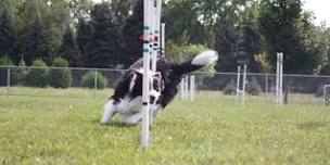 Fond du Lac County Kennel Club Fall Dog Agility Trials