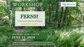 FERNS with Expert Julianne Mehegan - at Holly Hill Farm