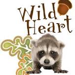 Wildheart’s Wild Adventure Begins